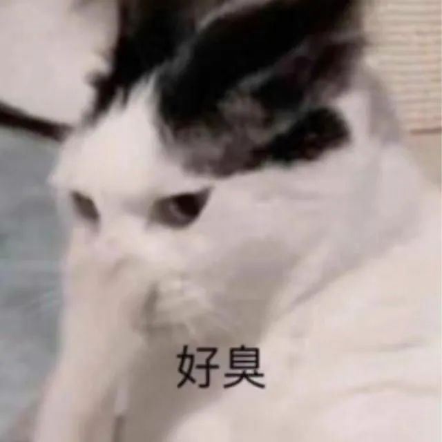 为什么今年都市打工人的通勤包都变成了健身包？(图14)